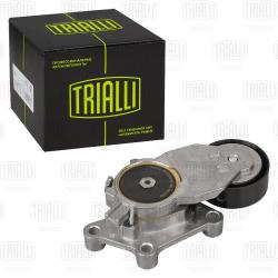 Ролик привод. ремня для а/м Ford Focus II (05-) 1.5d/1.6d (c 2008) (с натяж. мех.) (CM 5729)