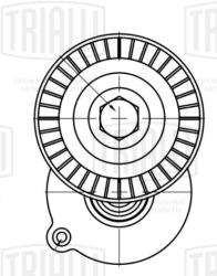 Ролик привод. ремня для а/м VW Tiguan (07-)/Transporter T5 (03-) 2.0TDi (с натяж. мех.) (CM 5402)