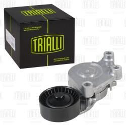 Ролик привод. ремня для а/м Peugeot 307 (00-) 1.4d/1.6d (с натяж. мех.) d46 (CM 5275)