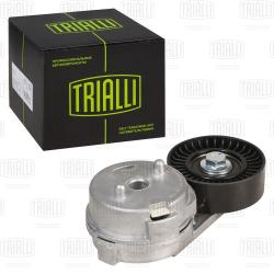 Ролик привод. ремня для а/м ГАЗ Volga Siber/Chrysler Sebring (00-) 2.4i (с натяж. мех.) (CM 5758)