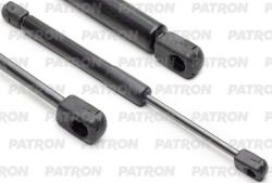 PGS5011ZL Амортизатор крышки багажника