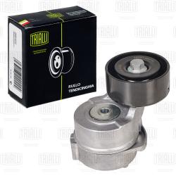 Ролик привод. ремня для а/м Kia Sorento (02-)/Hyundai H-1 (07-) 2.5d (с натяж. мех.) (CM 5050)