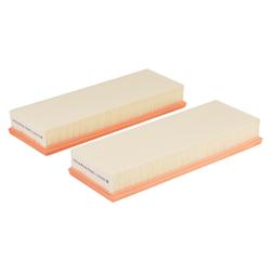 Фильтр для а/м Mercedes ML W164(05-) 3.5i/GL X164(06-)/S W221(05-) 5.5i (возд.) (2шт.) (TR36983-2)