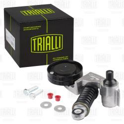 Ролик привод. ремня для а/м VW Touareg (02-)/Audi Q7 (06-) 4.2FSi (с натяж. мех.) (CM 5802)