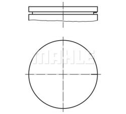Поршень в комплекте 0210300