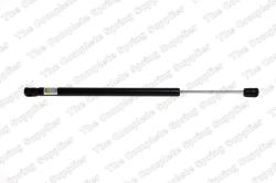 Амортизатор кр. багажника FORD FOCUS 98-04 81 275 57