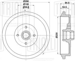 TRIALLI TF 535549 Барабаны тормозные для автомобилей VW Passat B3/B4 (88-) d=290