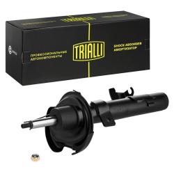 TRIALLI AG 10173 Амортизатор для автомобилей Ford Kuga (08-) (стойка) передний левый