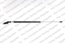 Амортизатор кр. багажника NISSAN X-TRAIL right side 3/07- 81 620 50