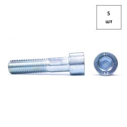 Винт 30х170 кп 8.8 DIN 912 оц. 5шт FORTLUFT sts033061