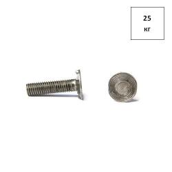 болт норийный 8х30 ГОСТ 7811-7074 (РМЗ) 25кг FORTLUFT sts032422