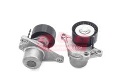 Натяжитель ремня приводного RENAULT ESPACE/LAGUNA/TRAFIC 2.0D/2.2D 05- YD205620