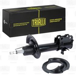 Амортизатор для а/м Exeed TXL (19-) (стойка) пер. лев. (AG 30106)