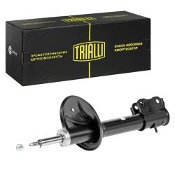 TRIALLI AG 11055 Амортизатор для автомобилей Mitsubishi Outlander (02-) (стойка) передний левый / правый