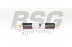 Фильтр топливный AUDI A6 2.0D 08- BSG 90-130-022