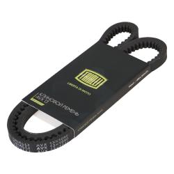 TRIALLI AVX13X1040 Ремень приводной для автомобилей ГАЗель Бизнес (умз. 4216 Евро-4) зубчатый (AVX13X1040)