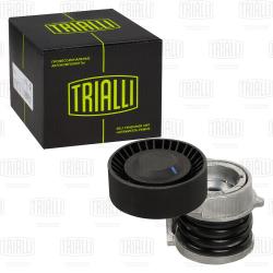 Ролик привод. ремня для а/м BMW X5 E53 (99-) 3.0i (с натяж. мех.) компр. (4PK) (CM 5411)