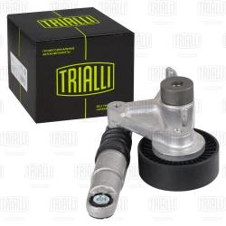 Ролик привод. ремня для а/м VW Touareg (02-)/Audi Q7 (06-) 2.7d/3.0d (с натяж. мех.) (CM 5382)