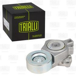 Ролик привод. ремня для а/м Mitsubishi Pajero III (00-)/Pajero IV (06) 3.0i/3.5i/3.8i (с натяж. мех.) (CM 3038)