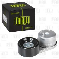 Ролик привод. ремня для а/м Nissan Pathfinder (05-) 4.0i (с натяж. мех.) (CM 5892)