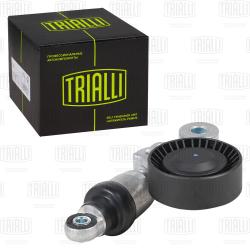 Ролик привод. ремня для а/м Kia Sorento (06-)/Mohave (08-) 3.3i/3.5i/3.8i (с натяж. мех.) (CM 5477)