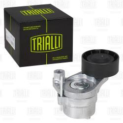 Ролик привод. ремня для а/м Haval F7/F7x (19-)/Dargo (22-) 2.0GDIT (с натяж. мех.) (CM 5668)