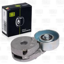 Ролик привод. ремня для а/м Nissan Qashqai (06-)/X-Trail (07-) 2.0i (с натяж. мех.) (CM 1403)