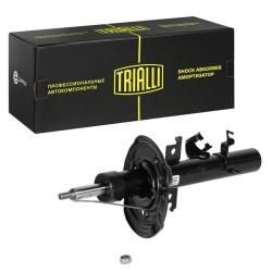 TRIALLI AG 14376 Амортизатор для автомобилей Nissan Qashqai (13-) (стойка) передний правый