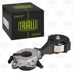 Ролик привод. ремня для а/м Peugeot 308 (07-) 1.4i/1.6i [EP] помпы (с натяж. мех.) (CM 5772)