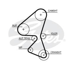 Ремень ГРМ 5656xs