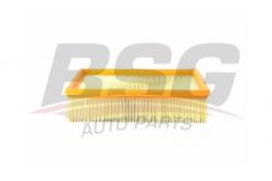 Фильтр воздушный BMW E36/E46/E39 1.6-3.2 BSG 15-135-002