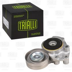 Ролик привод. ремня для а/м VW Golf VI (08-)/Tiguan (08-) 1.4TSi (с натяж. мех.) верх. (CM 5381)