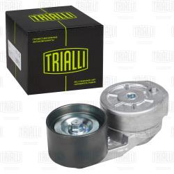 Ролик привод. ремня для а/м Iveco Stralis (02-)/Trakker (04-) [Cursor 8/10/13] (с натяж. мех.) (CM 6020)