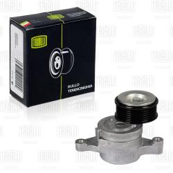 Ролик привод. ремня для а/м Mazda 3 (03-) 1.6i (с натяж. мех.) (CM 2502)