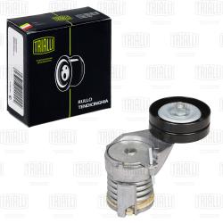 Ролик привод. ремня для а/м Skoda Octavia (96-)/VW Golf IV (97-) 1.4i/1.6i AC+ (с натяж. мех.) (CM 1831)