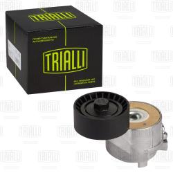 Ролик привод. ремня для а/м Peugeot Partner (05-) 1.6d (с натяж. мех.) (CM 5462)