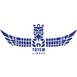 Подкрылок RENAULT Logan 2004-2013 (задний правый) TOTEM NLL.41.05.004 NLL.41.05.004