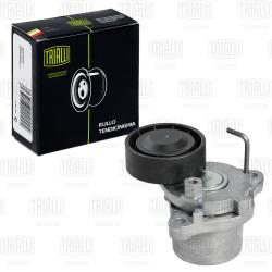 Ролик привод. ремня для а/м Kia Soul (08-)/Ceed (07-) 1.6d (выпуск с 2011) (с натяж. мех.) (CM 5306)