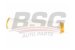 Фильтр воздушный BMW E46/E39/E38 2.5D-3.0D/RANGE ROVER 3.0D 02- BSG 15-135-006