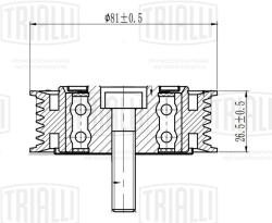 Ролик привод. ремня для а/м VW Golf VI (08-)/Tiguan (08-) 1.4TSi A/C- (опор.) (CM 5519)