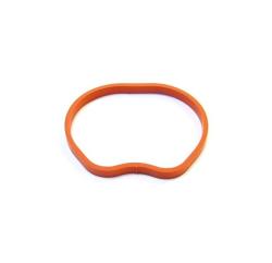 Прокладка впускного коллектора 025260