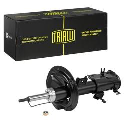 TRIALLI AG 14363 Амортизатор для автомобилей Nissan Teana (03-) (стойка) передний правый