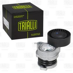 Ролик привод. ремня для а/м BMW X5 E53 (99-) 4.4i/4.8i [N62] (с натяж.мех.) AC(CM 5700)