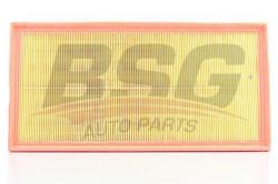 Фильтр воздушный AUDI Q7/PORSCHE CAYENNE/VW TOUAREG c доп.фильтром BSG 90-135-014
