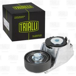 Ролик привод. ремня для а/м Ford Transit (00-) 2.0d (с натяж. мех.) ГУР (CM 5401)