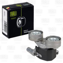 Ролик привод. ремня для а/м Ford Transit (06-)/Ranger (06-) 2.2d/3.2d (с натяж. мех.) двойн. (CM 5623)