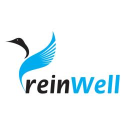 Растворитель ржавчины с дисульфидом молибдена REINWELL 0,5л MoS2 RW-41 3242