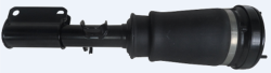 Пневмостойка подвески передняя правая X5 E53 2000-2006 SAR035
