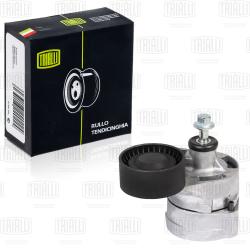 Ролик привод. ремня для а/м Ford Transit (06-) 2.4d (с натяж. мех.) (CM 5103)