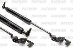 PGS100084 Амортизатор капота